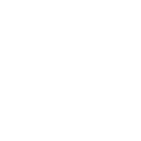 intelisis